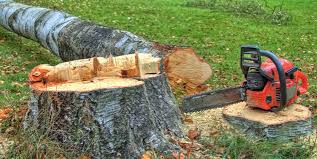 Best Firewood Processing and Delivery  in Yuipa, CA
