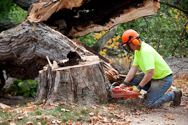Best Lawn Drainage Solutions  in Yuipa, CA